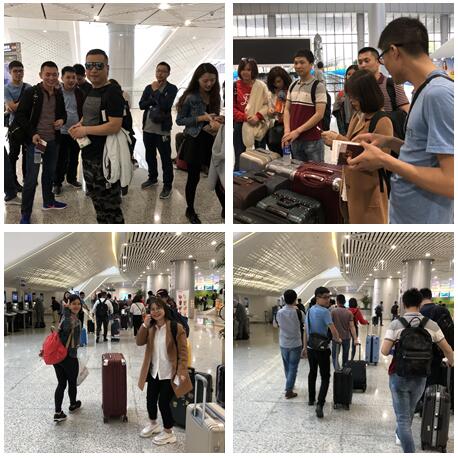 不負春色不負花—城茗國際日本櫻花之旅