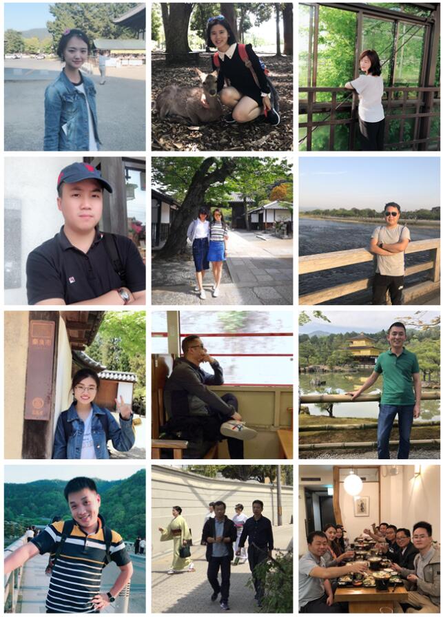 不負春色不負花—城茗國際日本櫻花之旅