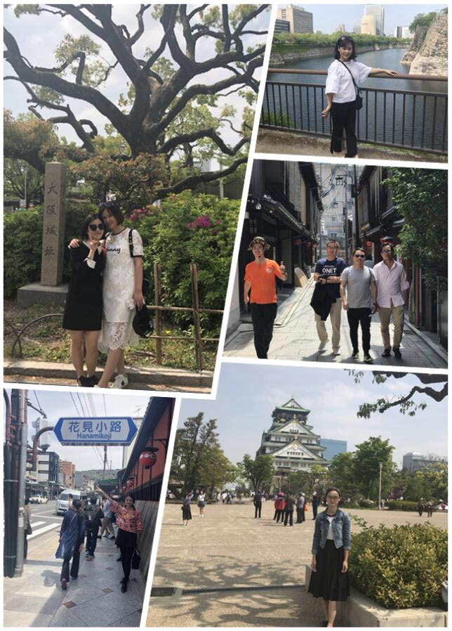 不負春色不負花—城茗國際日本櫻花之旅